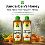 Sundarban's Pure Honey